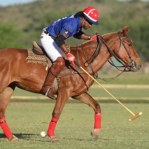 polo haiti 2