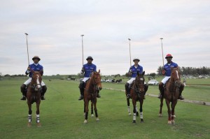 polo haiti