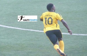 Dumy Fede db